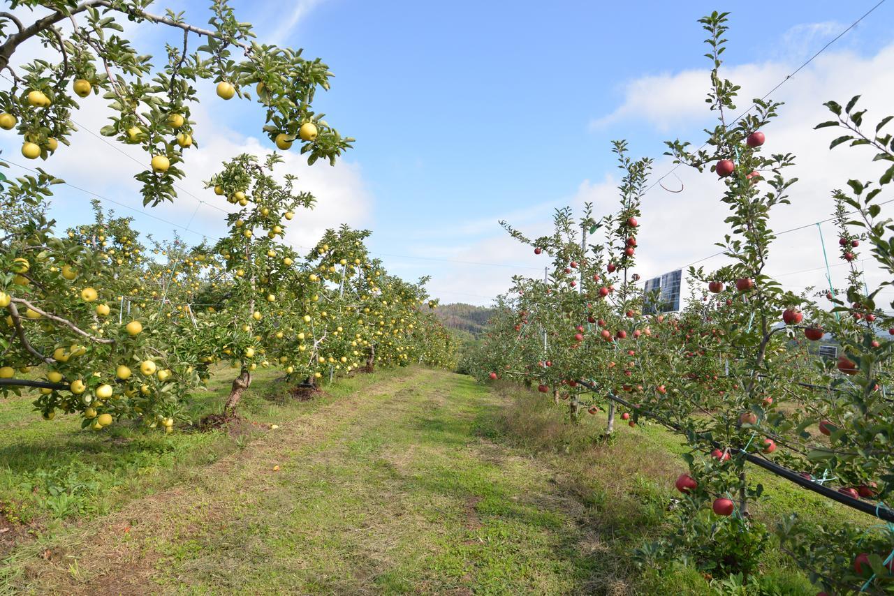 Shinshu Yokoya Farm Apartment Matsumoto Exterior photo